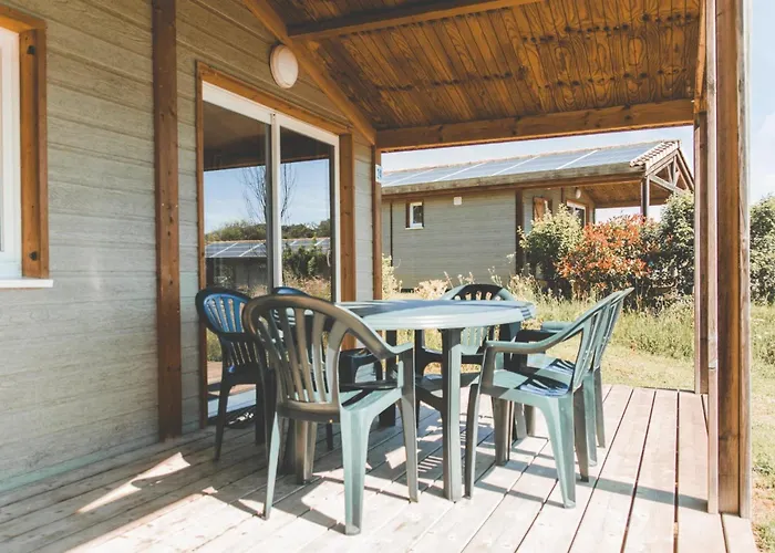 Zecamping 3 Chiens Acceptes Piscine Chauffee A Flanc De Colline * Cazals (Lot)